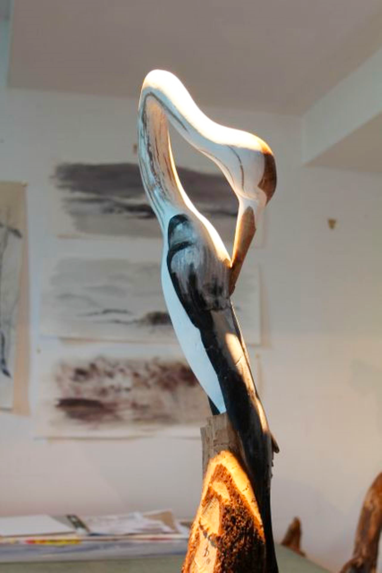 Héron blanc et noir