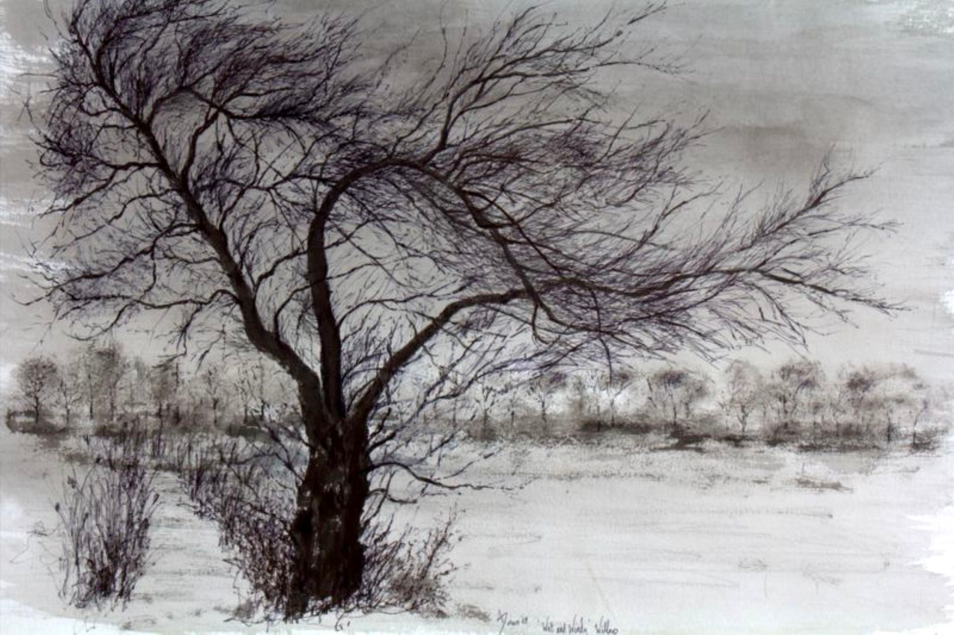 un arbre qui danse dans le vent