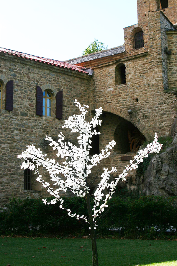 Arbre blanc de la liberté dans la cour d'une abbaye.