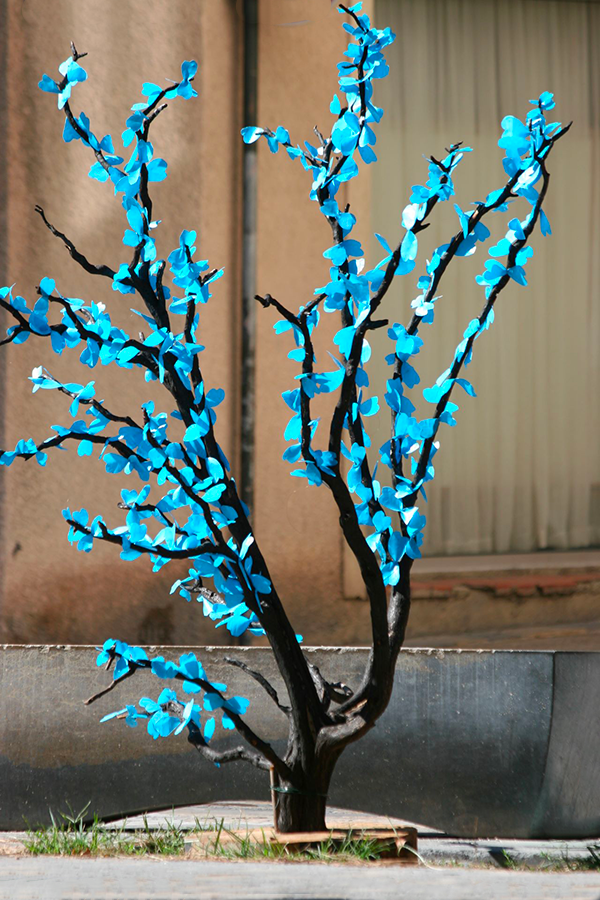 Arbre bleu du silence - Méditation